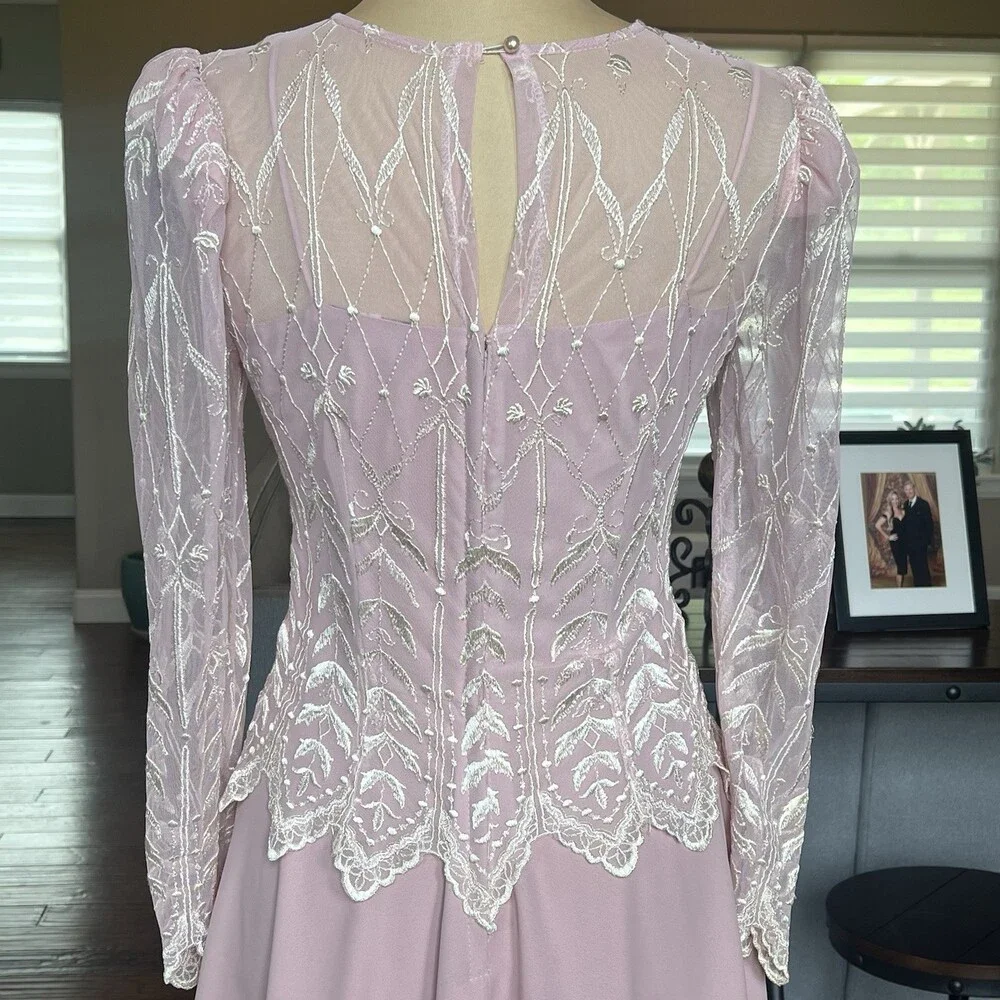 Vintage Cachet Bari Protas Pink Rose Dress 7/8 Sheer Embroidered Formal Gown - Picture 12 of 15